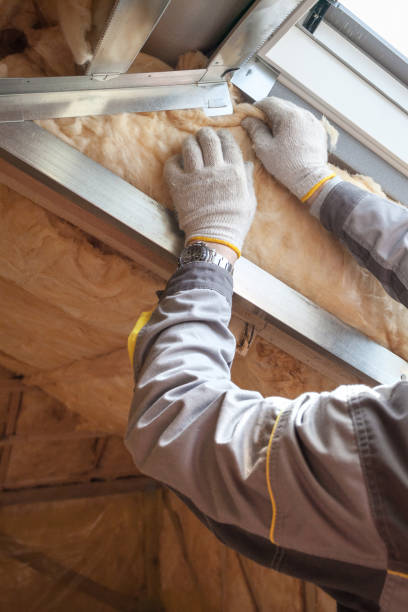 Attic Insulation Near Me in Premont, TX