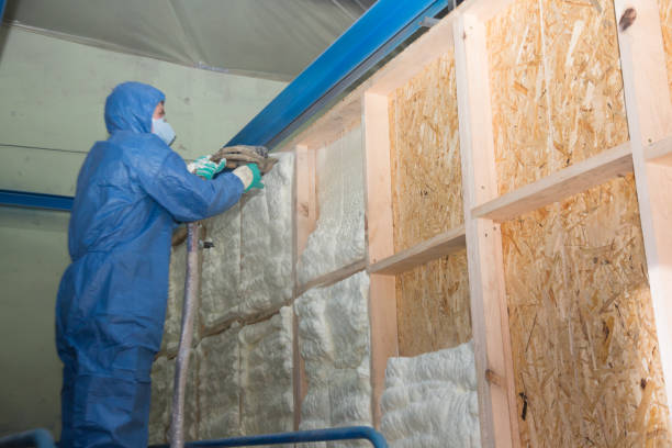 Best Soundproof Insulation Installation  in Premont, TX
